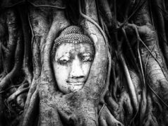 Das Gesicht wahren Buddha Abbild