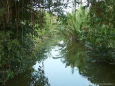 Bang Kra Jao: das unbekannte Bangkok Bang Kra Jao Bangkok