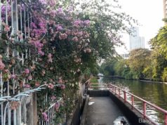 In den Hinterhöfen der Sukhumvit: Unterwegs in Bangkok